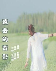 雨后盛放